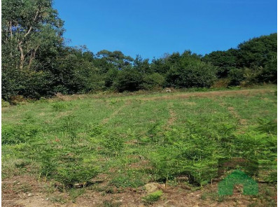 Terreno, CENERO (GIJON)